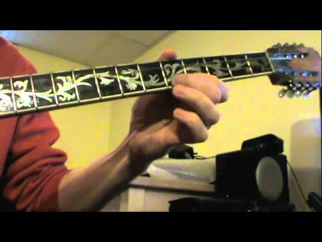 Introductory bouzouki technique -- left hand fundamentals on the bouzouki