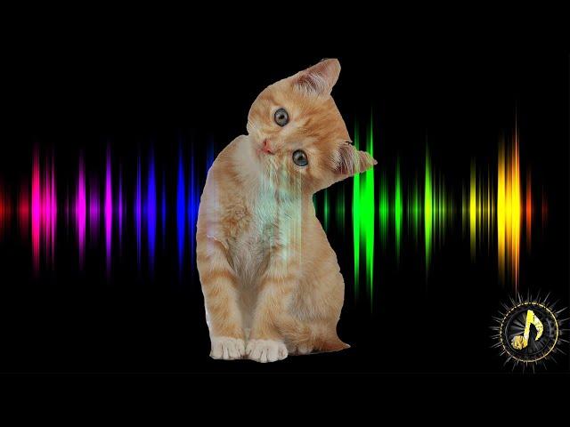 Cat Meow Sound Effect ~ Attract Cats, Sounds Cats Love