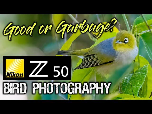 Nikon Z50 Bird Photography | GOOD or GARBAGE?