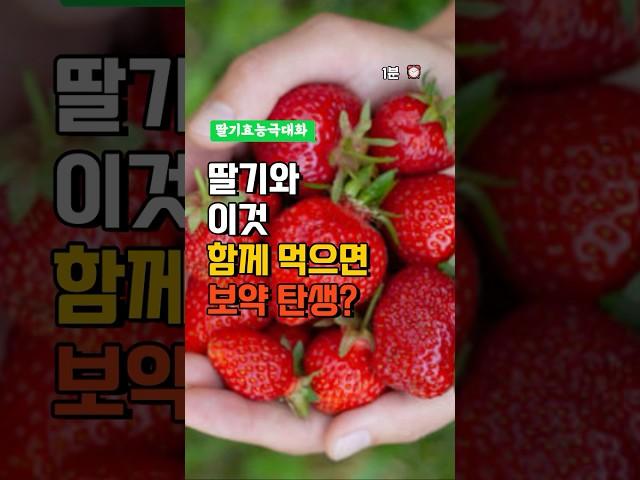 딸기와 이것 함께 먹으면 보약 탄생 - 딸기 효능 - 딸기와 같이 먹는 음식 - 딸기 효능 극대화 - 중년 건강 정보 - 생딸기