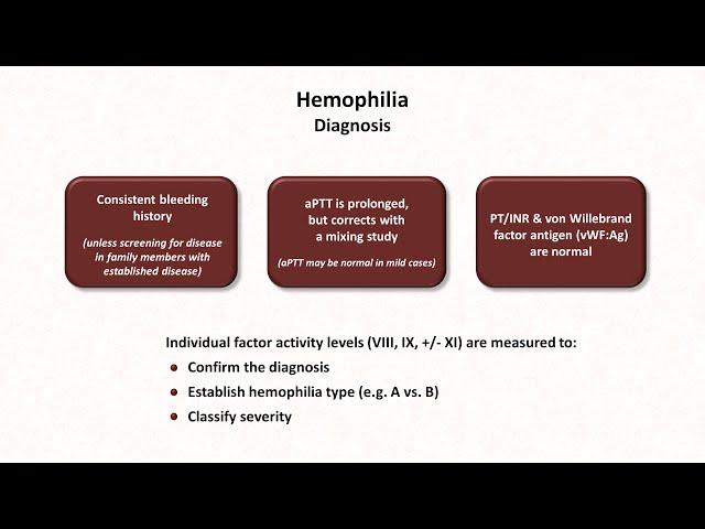 Hemophilia & Other Coagulation Deficiencies: Hemostasis - Lesson 11