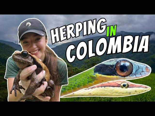 I Went Herping in Colombia, Here’s What I Found