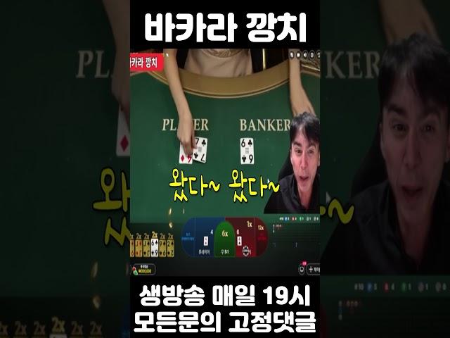번영의 나무 바카라 3연속 배당 먹었습니다 #번영의나무바카라 #바카라배당 #바카라깡치