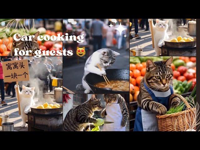 Cat Cooking For Guest  | Best Funny Cat Videos 2024  #cat @The-Cat-Journey