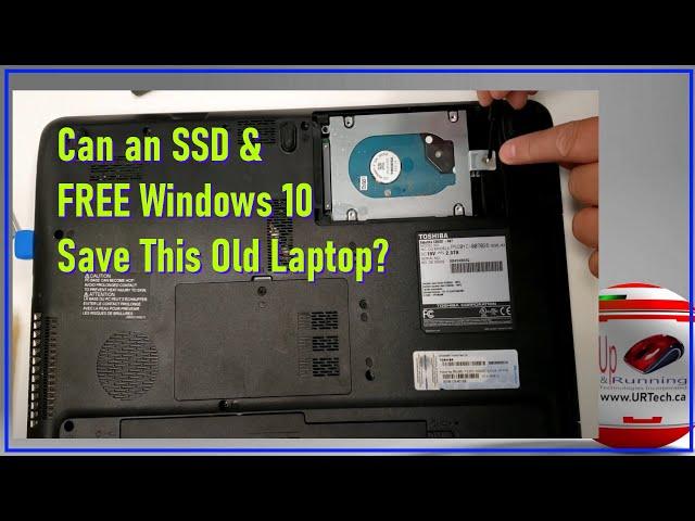 Toshiba Satellite C650D Upgrade Hard Drive to SSD, Install Windows 10 for Free, Benchmark & Review