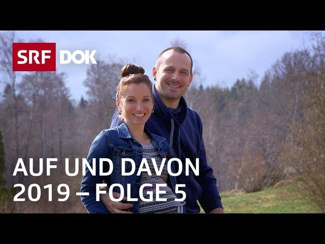 Schweizer Auswanderer | Schweden, Mexiko, Südafrika | Auf und davon 2019 (5/6) | Doku | SRF Dok