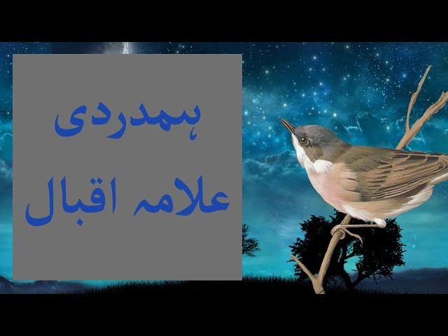 Hamdardi by Allama Iqbal | Sympathy Poem by Allama Iqbal | Spiritual Moral Stories