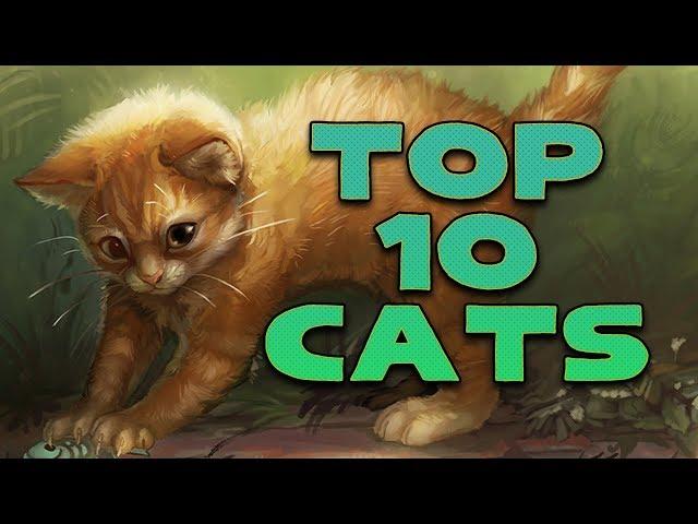 Top 10 Best Cats in Magic the Gathering