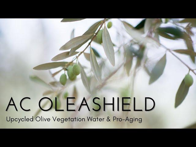 Pro-Aging is the new Anti-Aging: get the power of Mediterranean olive into your skin!