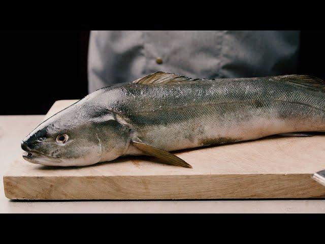 Black Cod (Kohlenfisch) – Jetzt bei Deutsche See erhältlich