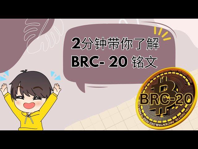 新手都能听懂什么是BRC-20铭文