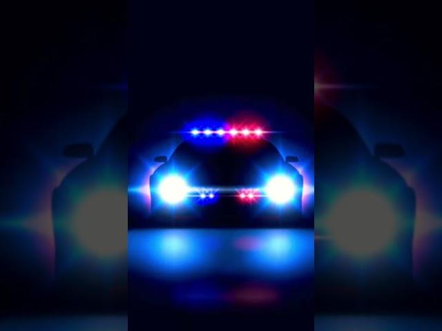 Police Siren (sound effect)