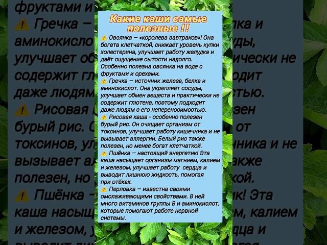 Полезные каши #советы#рецепты#полезнознать#народнаямедицина#шортс#безлекарств