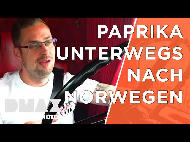 Mit Paprika unterwegs nach Norwegen | Euro Truckers - Immer auf Achse | DMAX Motor