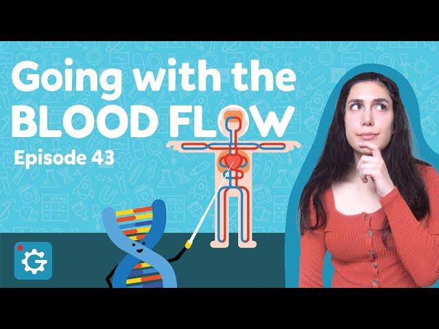 What Happens When We Get a Cut? [Going with the Blood Flow]