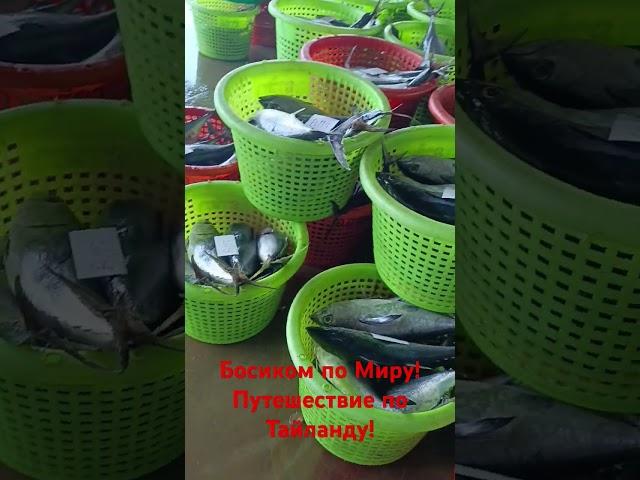 Босиком по Миру! Путешествие по Тайланду продолжается! Тайский порт. Фасовка и оптовая продажа рыбы.