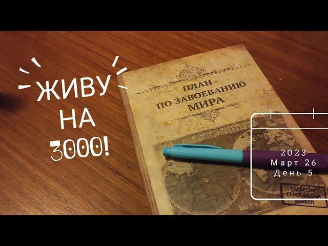 ЖИВУ НА 3000 С ДВУМЯ ДЕТЬМИ день 5