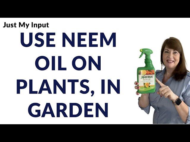 What Natural Pesticide is safe and effective for plants and vegetables? Use Neem Oil