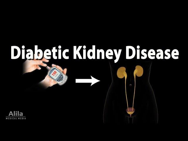 Diabetic Kidney Disease, Animation