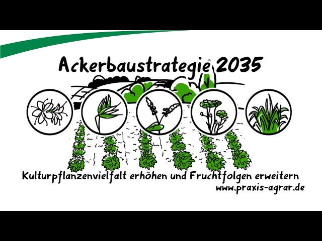 Ackerbaustrategie 2035 - Kulturpflanzenvielfalt erhöhen und Fruchtfolgen erweitern