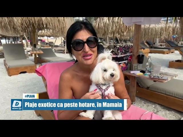 !!DOTTO NEWS - 19 Iulie 2023 | jurnalul orei 14:00!!
