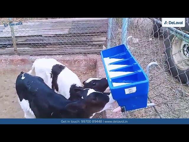 DeLaval Calf Multi Feeder