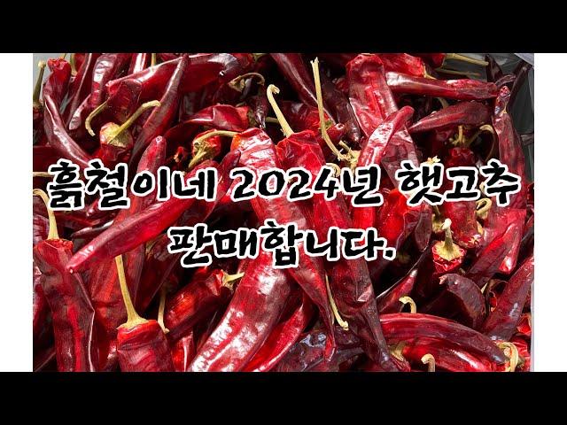 흙철이네 2024년 햇고추 판매합니다.