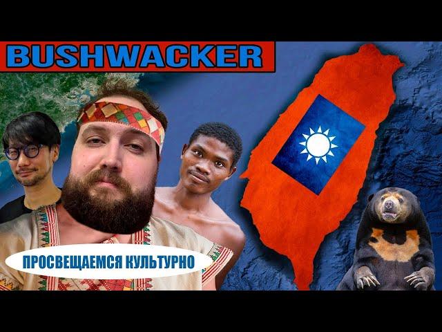 Бэбэй смотрит ролик Bushwacker "История Тайваня, часть 2: Китайская Республика"  (02.02.2024)