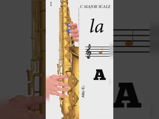 C MAJOR SCALE ON SAXOPHONE