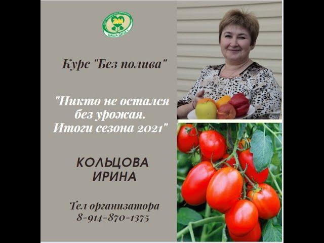 Выращиваем без полива  Опыт 2021 года. Кольцова Ирина
