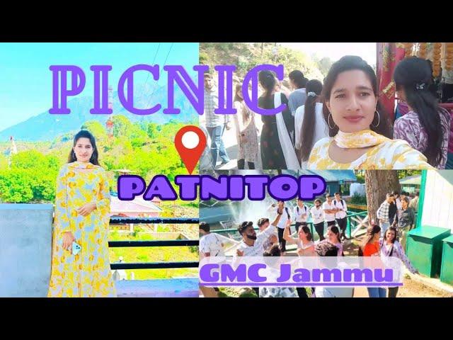 College Picnic (GMC Jammu) Patnitop #picnic #patnitophills #youtube #vlog