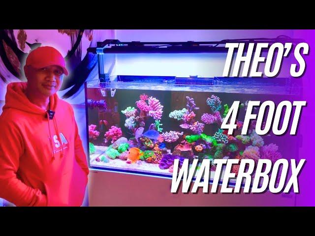 Theo's Impeccable 4 Foot Waterbox Mixed Reef