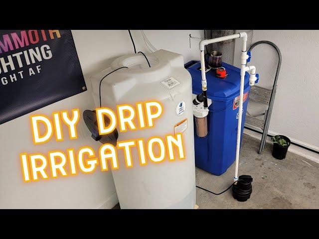 DIY Drip Irrigation for Indoor Use - Automated feeding - NO MORE HAND WATERING!!