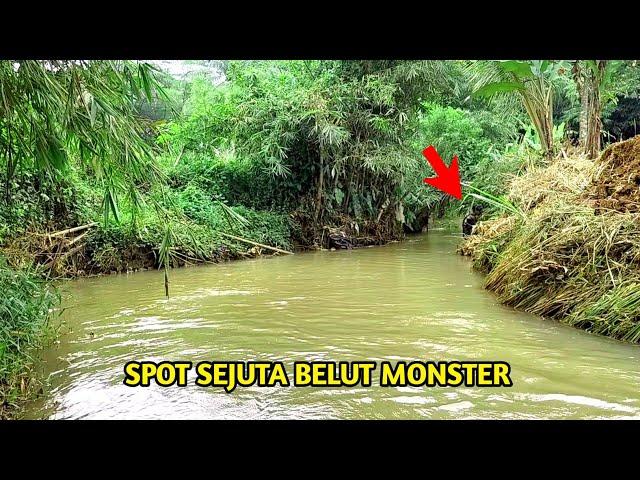 MANCING BELUT DI SPOT SUNGAI ANDALAN YANG DI HUNI SEJUTA BELUT MONSTER