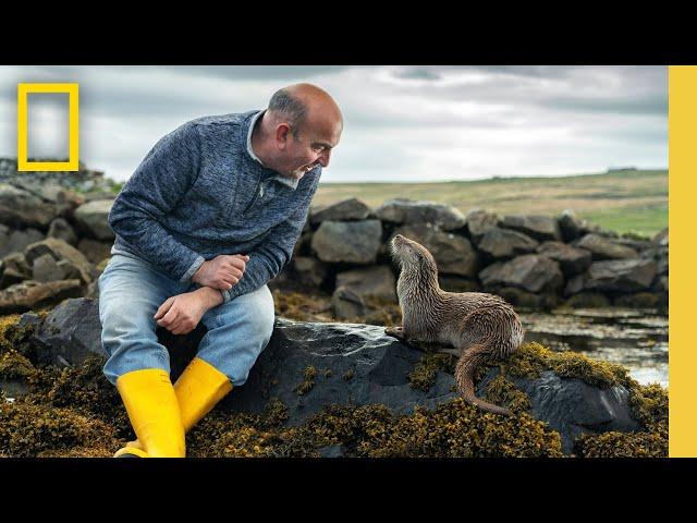 Billy & Molly: An Otter Love Story (Full Documentary Special) | National Geographic