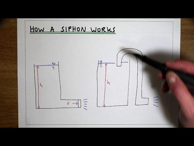 How a siphon (syphon) works