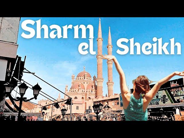 Sharm El-Sheikh   Egypt Arabian Peninsula Travel Tips - A Complete Guide Tour for Sharm el-Sheikh