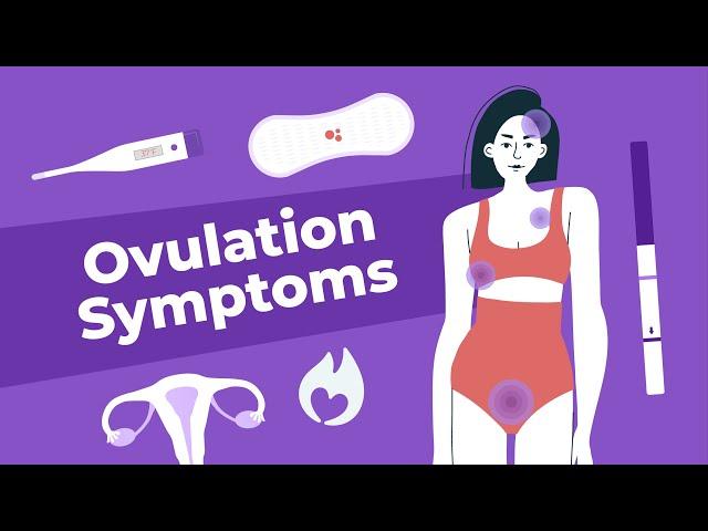 Symptoms of Ovulation | Doctor Explains