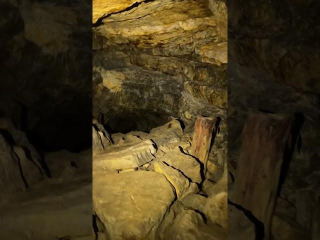 Царская #шахта город #Змеиногорск #приключения #история #подземелье