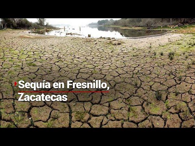 #VivirSinAgua | Habitantes de 258 comunidades rurales en Fresnillo, intentan sobrevivir a la sequía