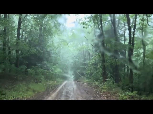 Seasonal road during thunderstorm in finger lakes