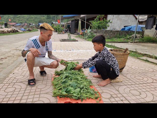 Nam - poor boy: Harvesting sweet pumpkins to sell. Water vegetables and clean around the house