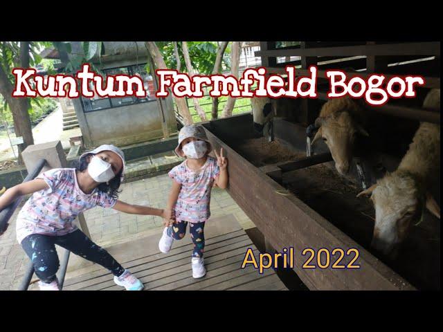 Bermain seru dengan aneka hewan di Kuntum Farmfield Bogor - April 2022