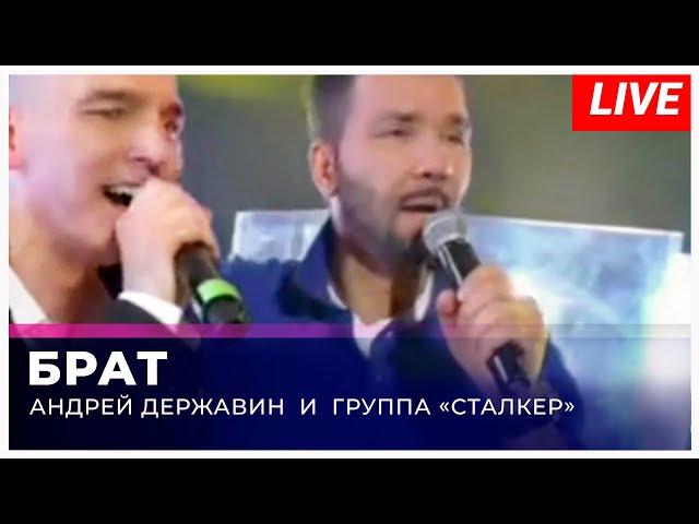 Андрей Державин - Брат (Live "Большая рыба")