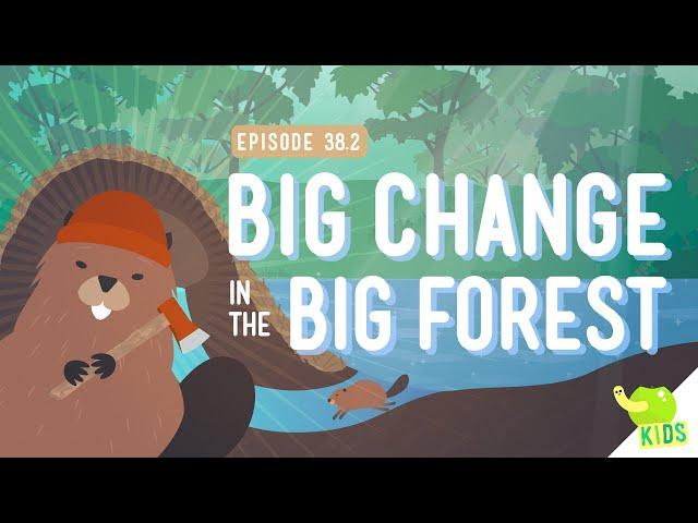 Big Changes in the Big Forest: Crash Course Kids #38.2