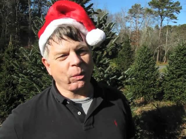 Life on a Cape Cod Christmas tree farm