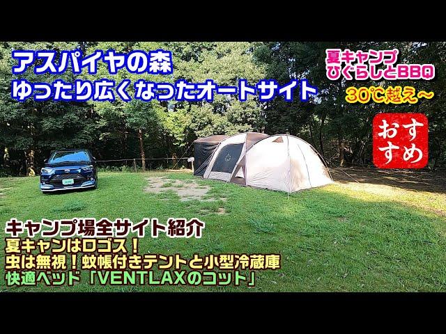 茨城県 アスパイヤの森キャンプ場 ロゴスで冷蔵庫の夏キャンプ 蚊帳で虫をシャットアウト！VENTLAXのコット ワイドノーマル比較 水戸インターおりてすぐ！