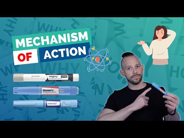 Why & How Do GLP-1s Work? Mechanism of Action