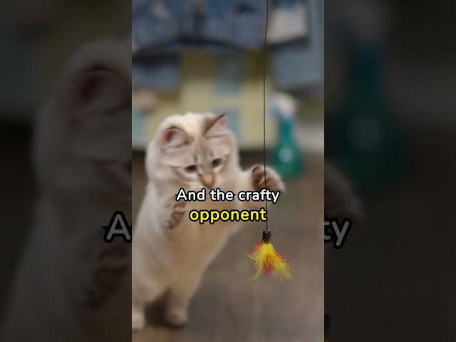 Clash of Claws: Fighter Cat vs. Laser Pointer  | Epic Showdown!  #cat #catlover #pets #funnycats