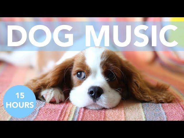 Music for Dogs! Soothing Songs for Dog Anxiety, Depression and Hyperactivity!